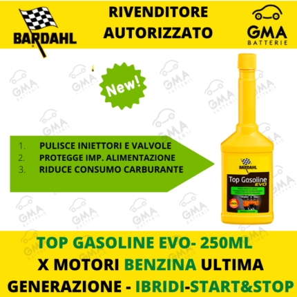 TOP GASOLINE EVO